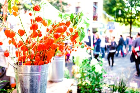 Orange Flowers On Gray Bucket photo