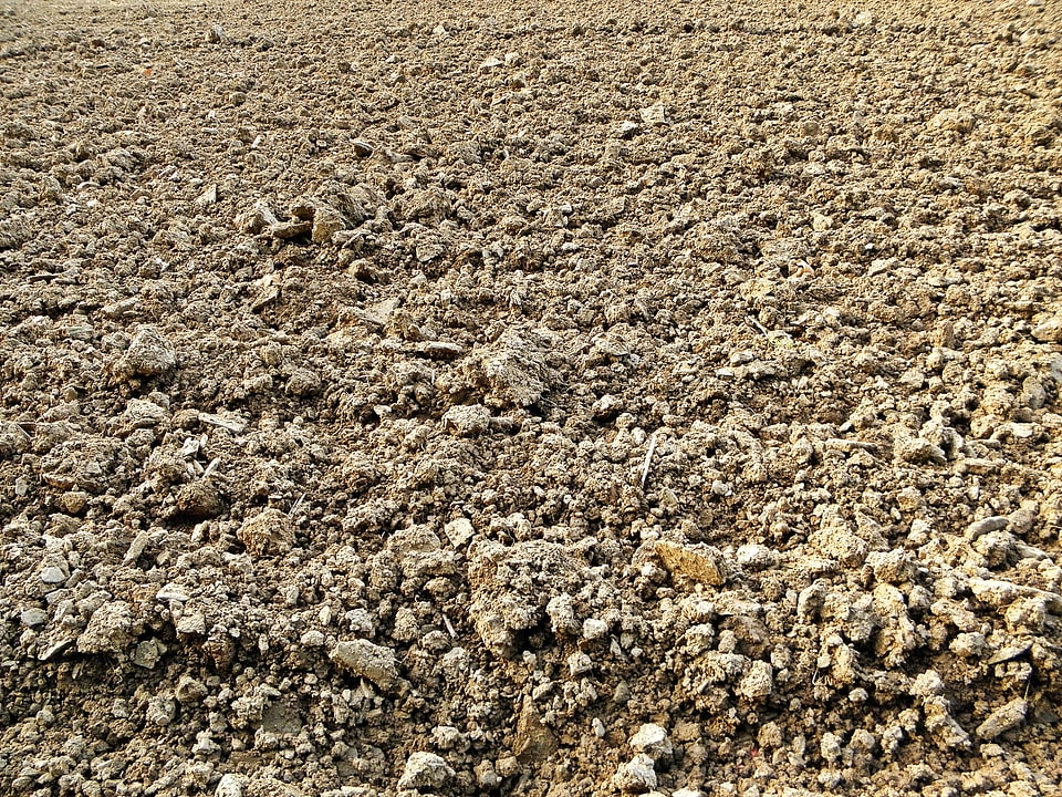 Landscape ground agriculture