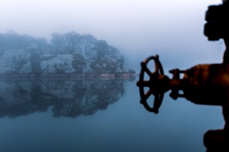 Reflection Of Trees On Water