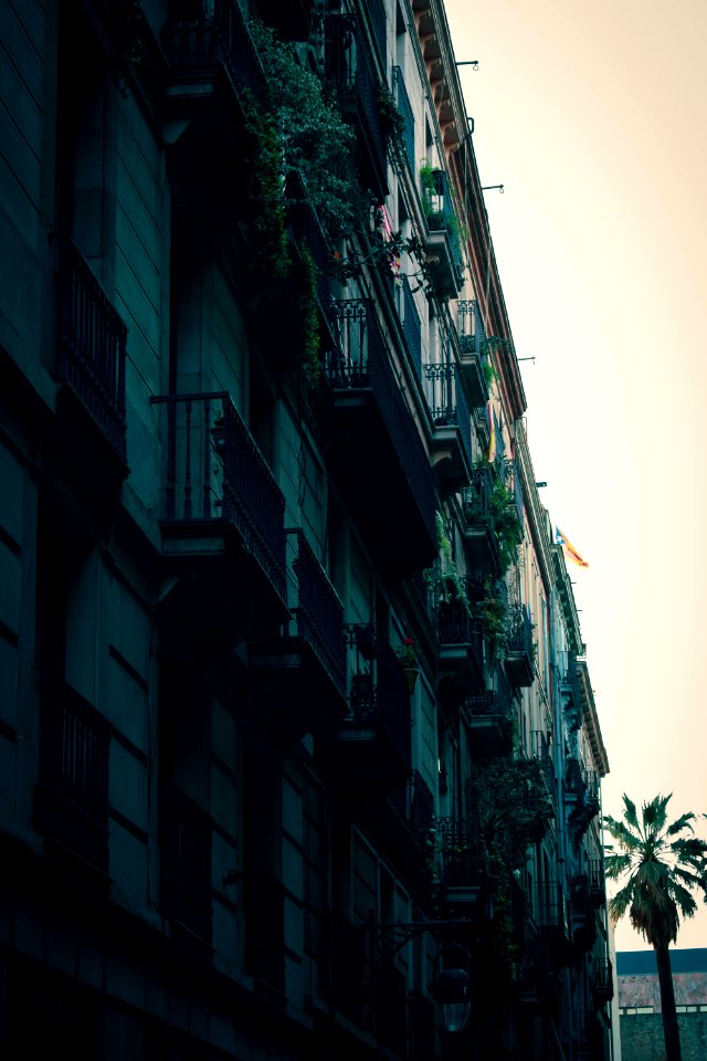 Low Angle Shot Of Building