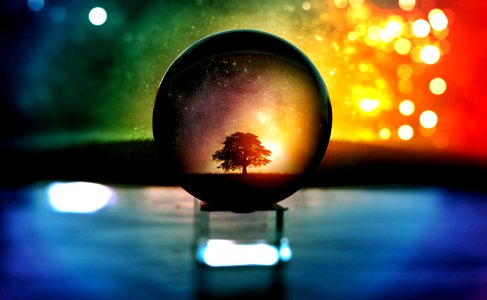 Selective Focus Photography Of Water Globe With Tree Illustration photo