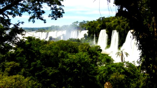 Waterfalls Surrounded By Trees photo