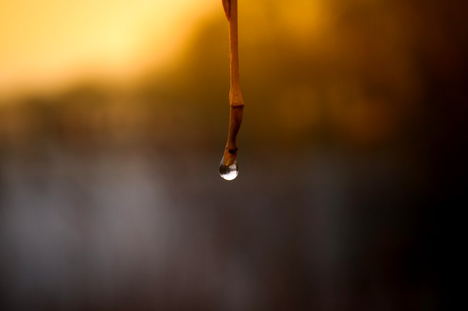 Tilt Shift Photo Of Water Droplet
