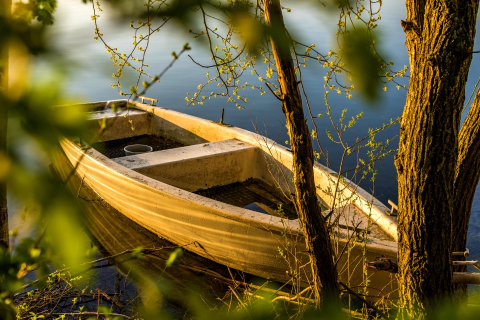 Brown Wooden Boat Near Tree