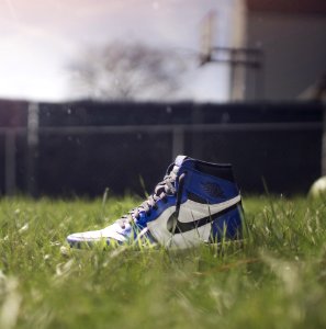 Selective Focus Photography Of Air Jordan 1 On Grass photo