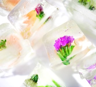 White Floral Ice Cube