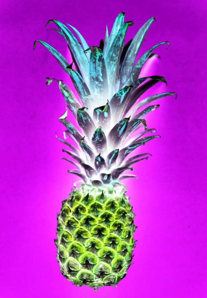 Pineapple Illustration