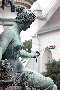 Woman person breast