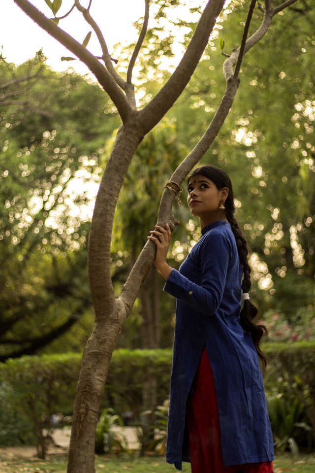 Woman Wearing Blue And Red Long-sleeved Dress Near Tree