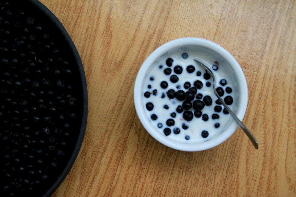 Photo Of White Ceramic Bowl photo