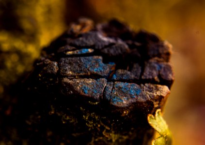 Macro Photography Of Brown Stone