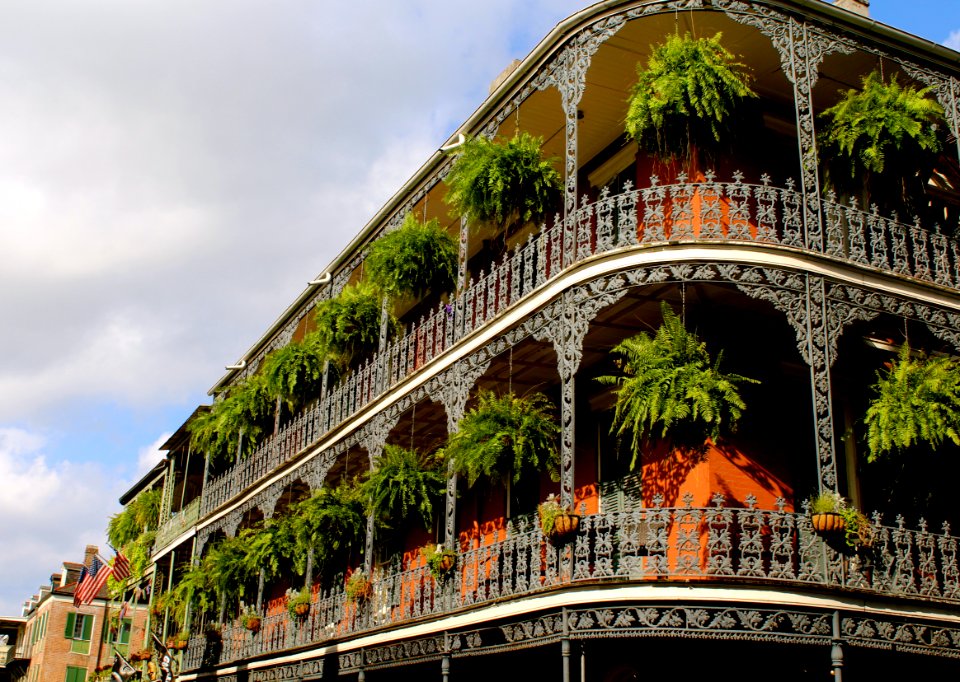 White High-rise Building With Green Leaf Hanging Plants