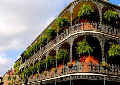 White High-rise Building With Green Leaf Hanging Plants