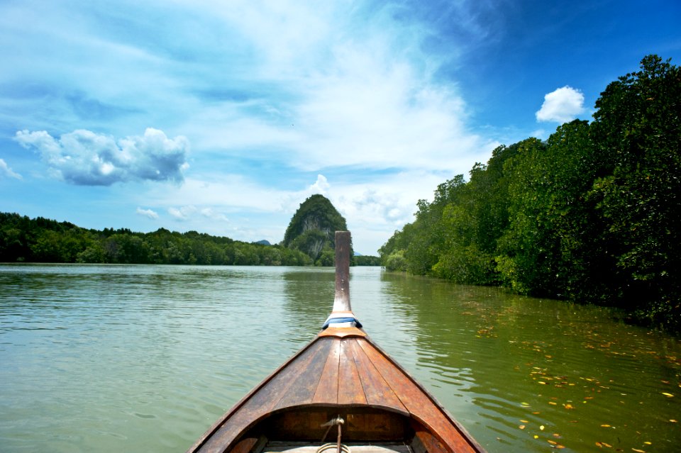 Brown Wooden Canoe Near Trees