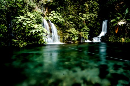 Waterfalls Surrounded By Green Trees