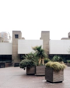 Photo Of Green Plant Boxes