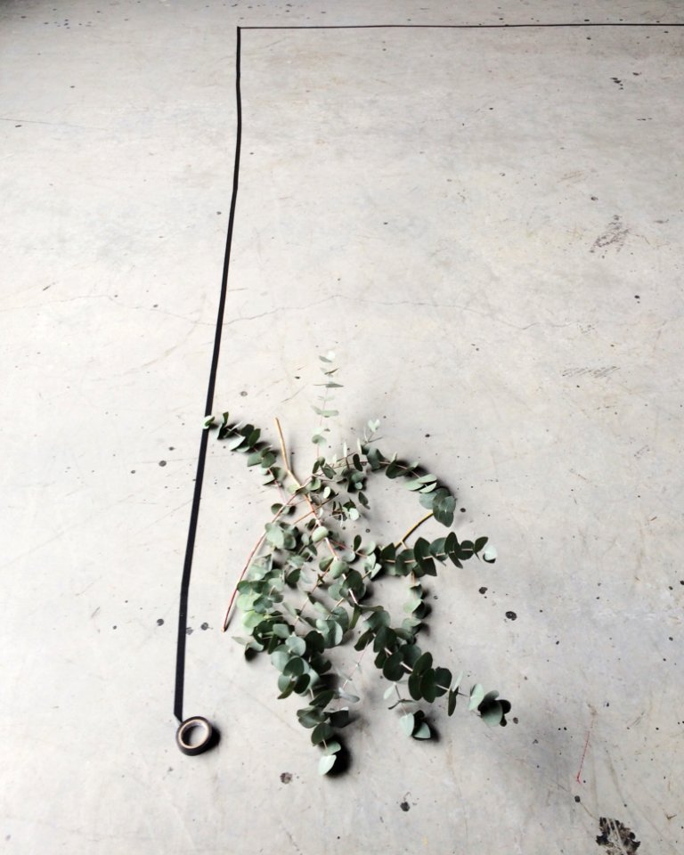 Gray Leaves On White Surface