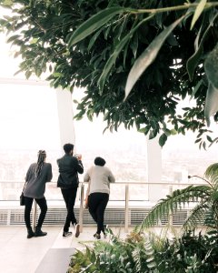 Three Person Looking At The Window