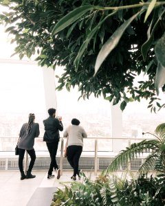 Three Person Looking At The Window photo