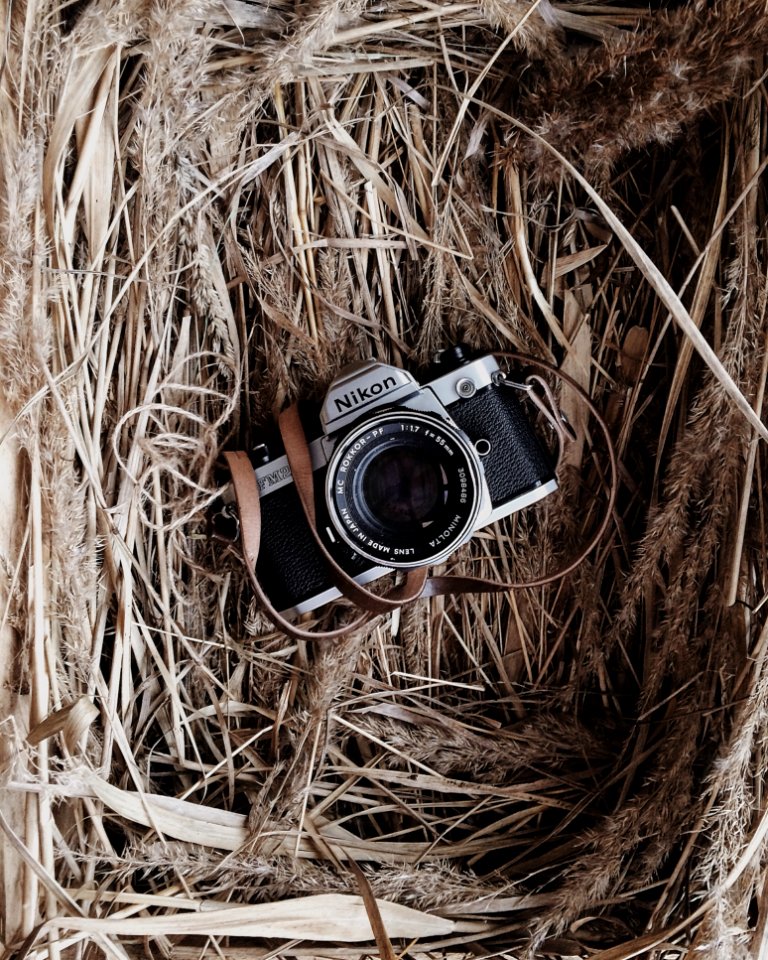 Black And Grey Nikon Camera In Brown Nest