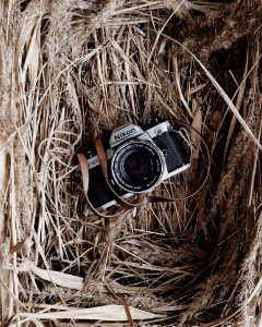 Black And Grey Nikon Camera In Brown Nest