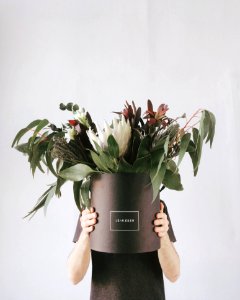 Person In Black T-shirt Holding Potted Flowers