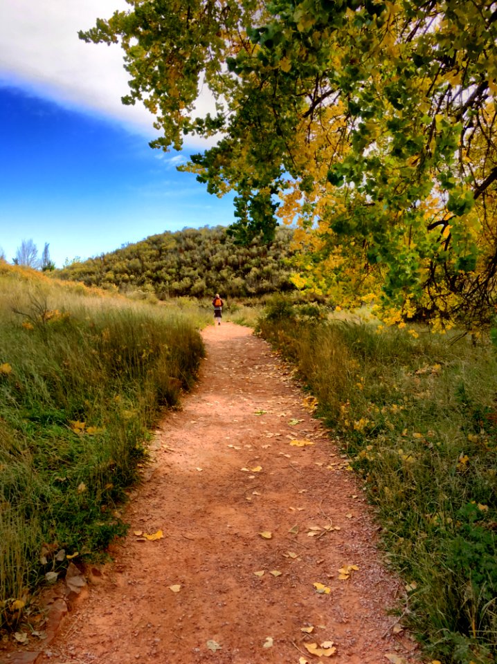 Person Walking On Brown Narrow Pathway