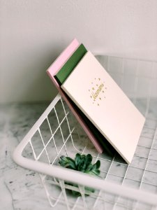 Close Up Photograph Of White Rack With Books And Succulent Plant photo