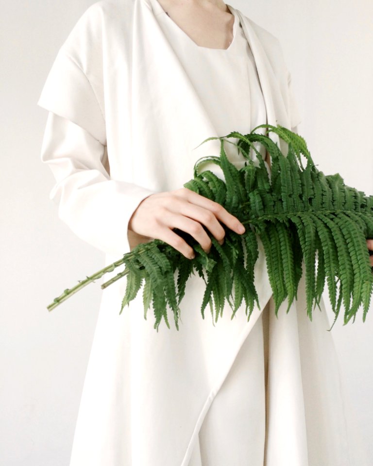 Person Holding Leaves