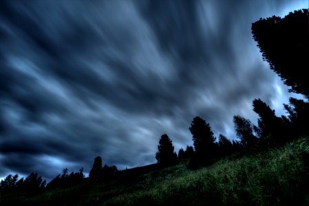Silhouette Photo Of Trees Under Gray Clouds photo