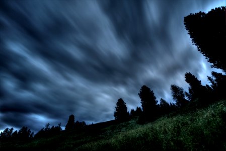 Silhouette Photo Of Trees Under Gray Clouds