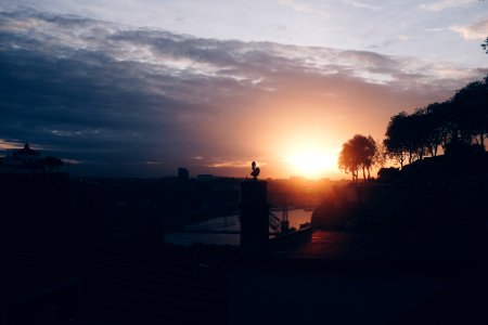 Silhouette Of Trees And Buildings During Sunrise photo