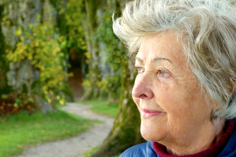 Face Senior Citizen Tree Eye