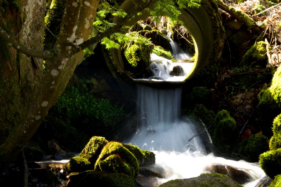 Water Waterfall Nature Body Of Water