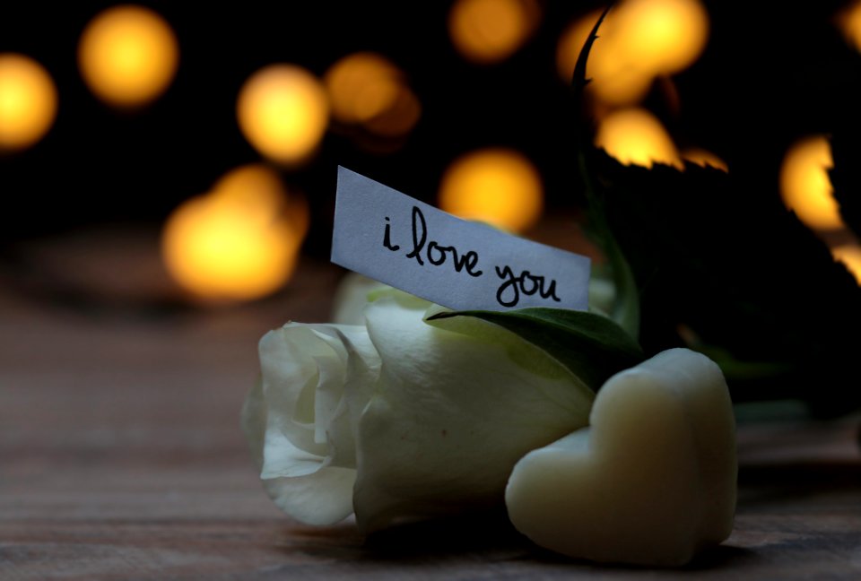 Light Lighting Still Life Photography Candle