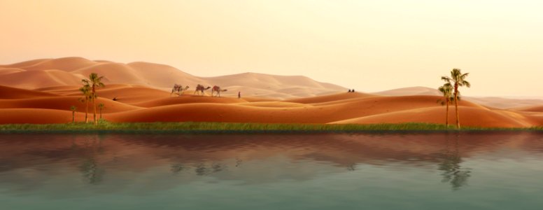 Erg Desert Sahara Aeolian Landform photo