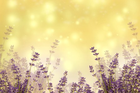 Sky Purple Lavender Lilac