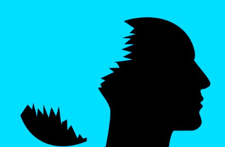 Face Silhouette Nose Head