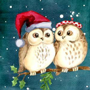 Owl Bird Of Prey Bird Christmas Ornament