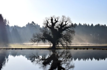 Reflection Water Nature Mist