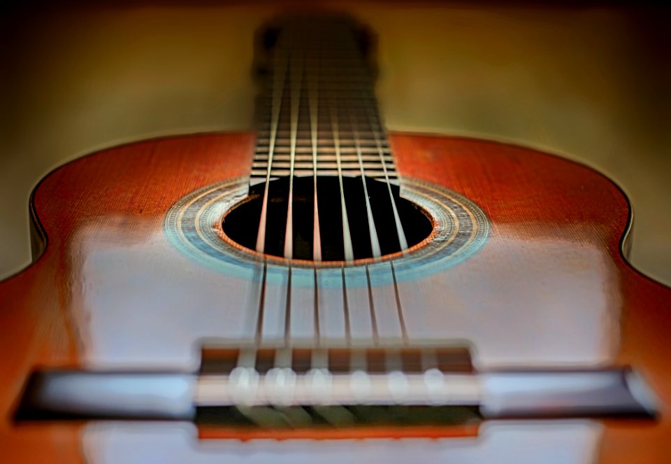 Musical Instrument Guitar Acoustic Guitar Plucked String Instruments