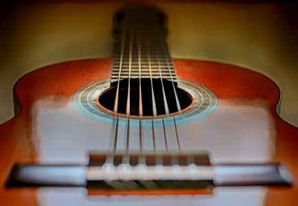 Musical Instrument Guitar Acoustic Guitar Plucked String Instruments