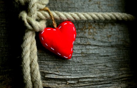 Red Love Heart Still Life Photography photo