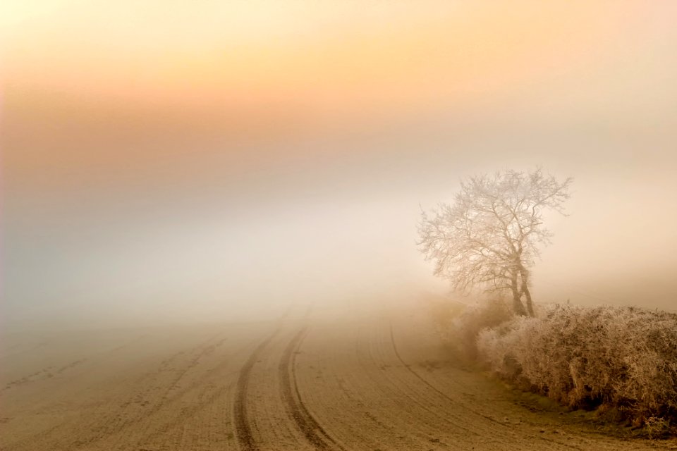 Fog Sky Mist Morning