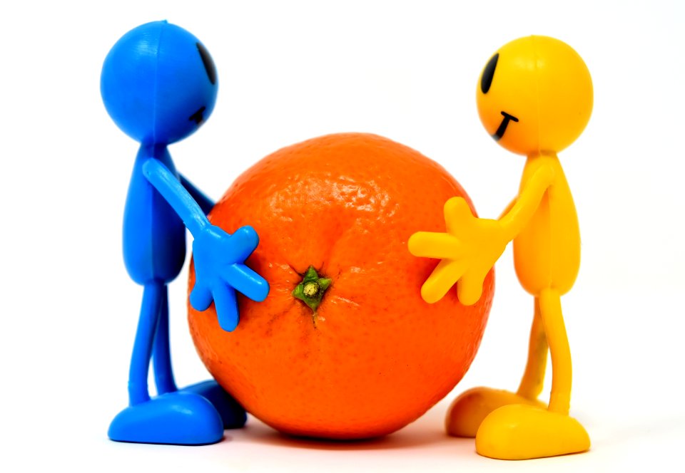 Orange Fruit Produce Food