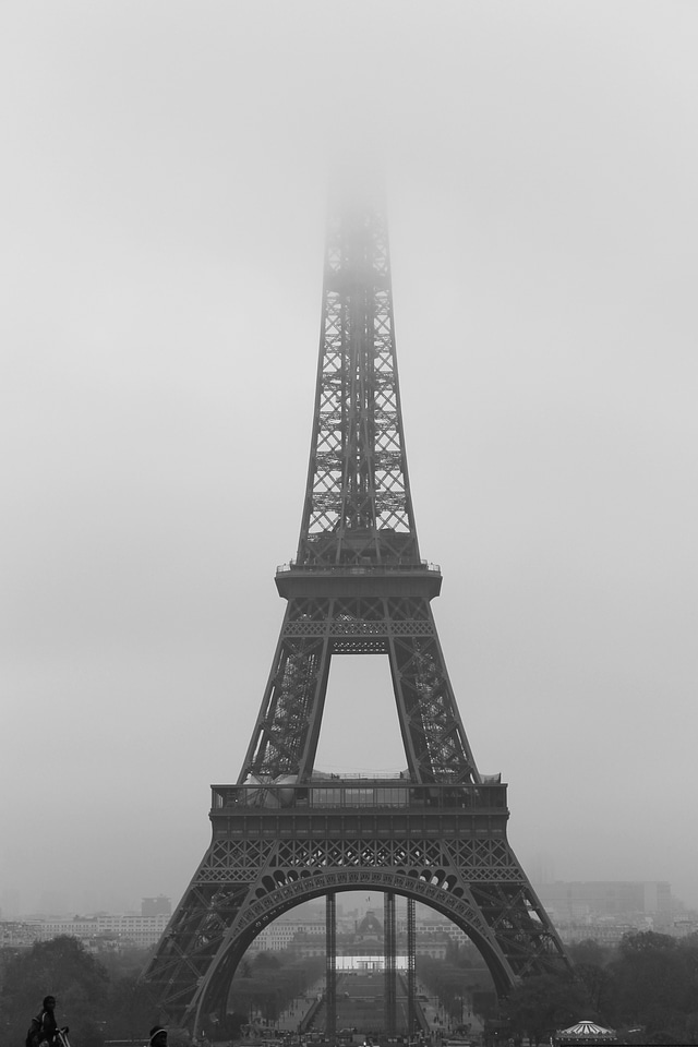 November france viva la france