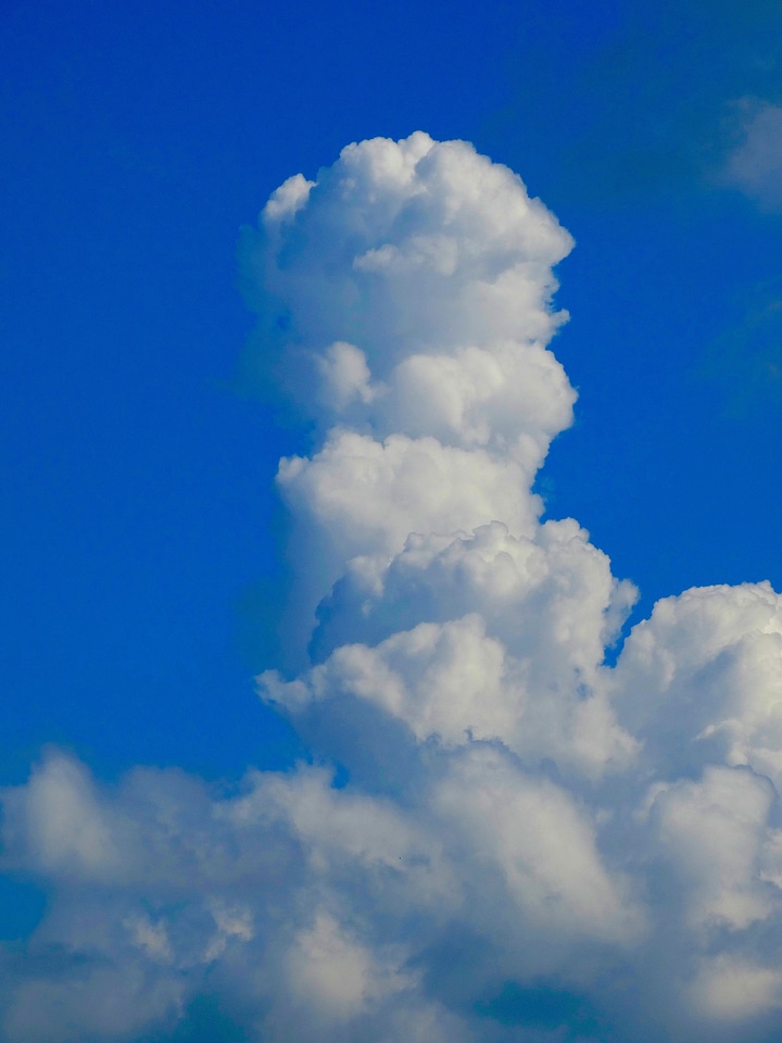 Hidden blue sky blue