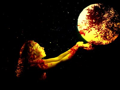 Sky Night Darkness Phenomenon