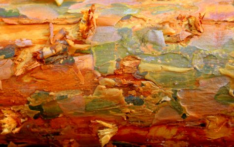 Painting Art Canyon Impressionist