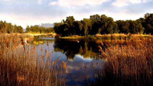 Reflection Water Nature Nature Reserve